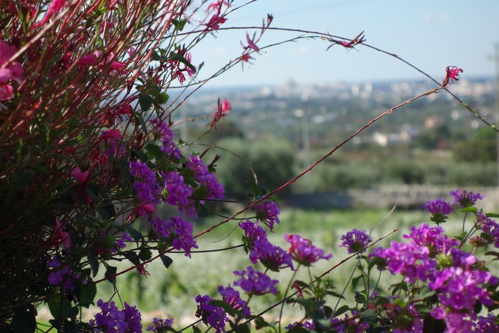 Masseria Serralta Локоротондо Екстер'єр фото